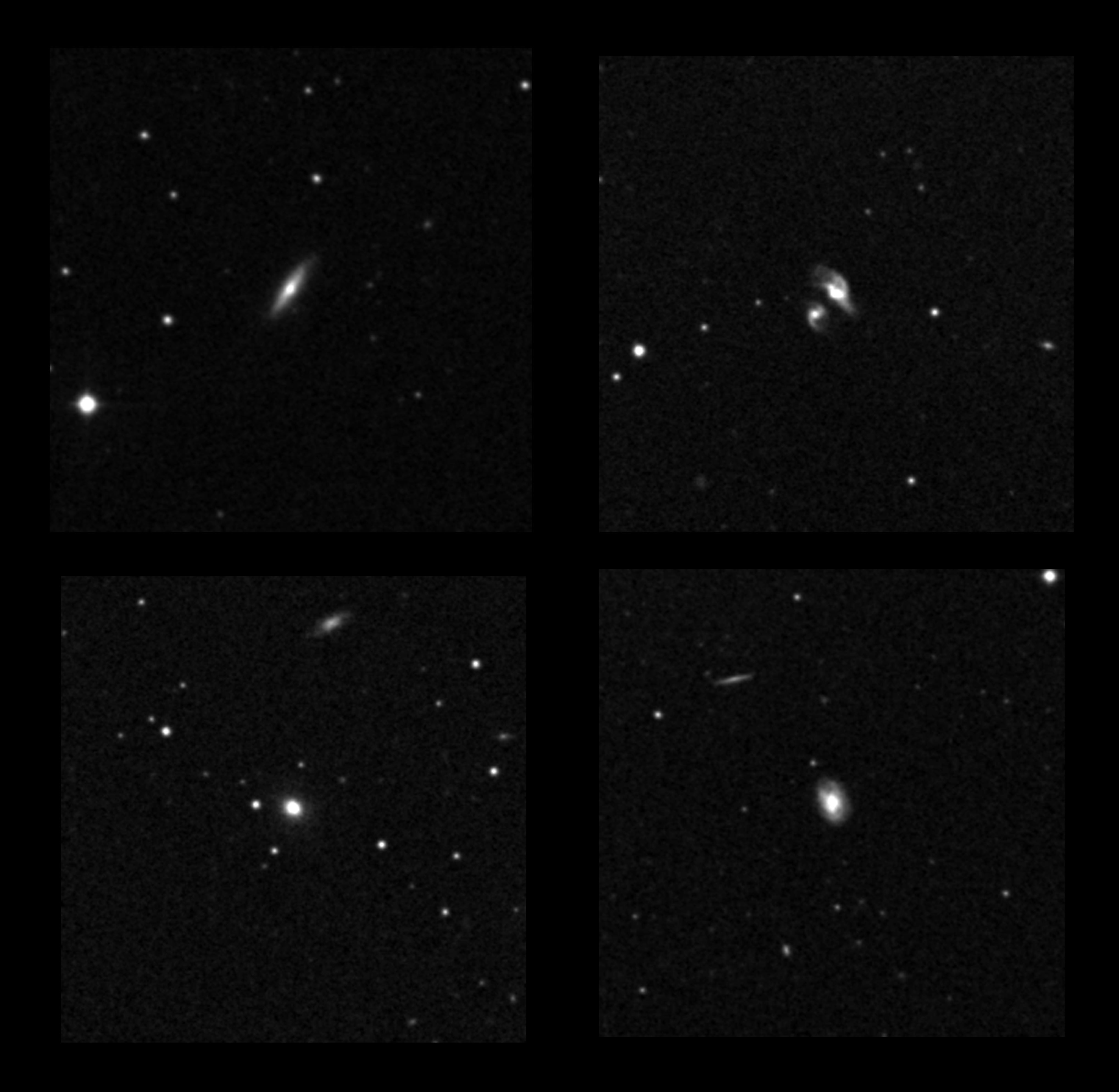 Four “bright” members of the Boötes Void hover around 15th magnitude. Each field measures 5' on one side. Credit: Digital sky survey