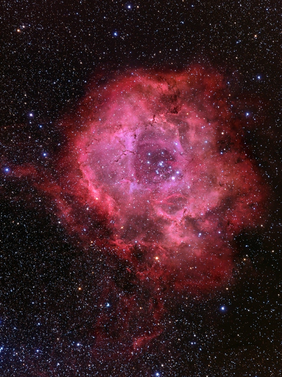 Rosette Nebula