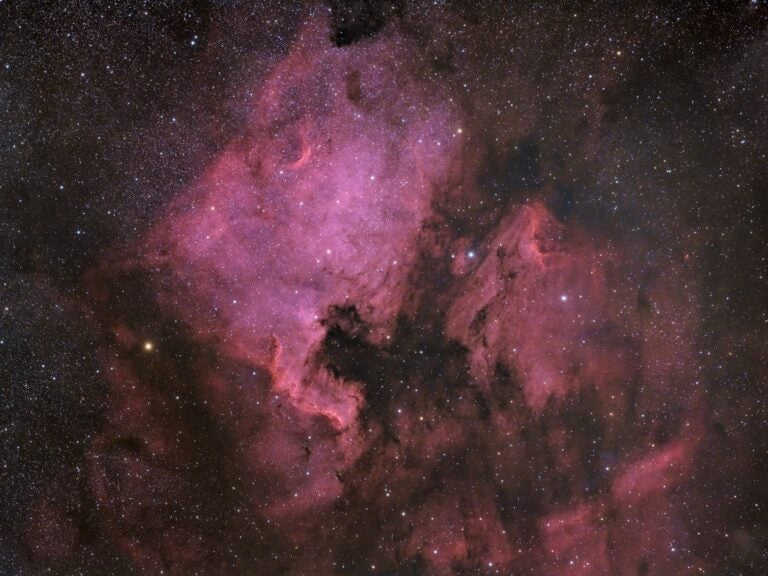 Two glowing, red-magenta clouds of hydrogen gas — emission nebulae — lie in the frame. On the left lies the North America Nebulae (NGC 7000), appearing in the shape of the North American continent. On the right is the Pelican Nebula (IC 5070), appearing like the head of a pelican seen in profile.