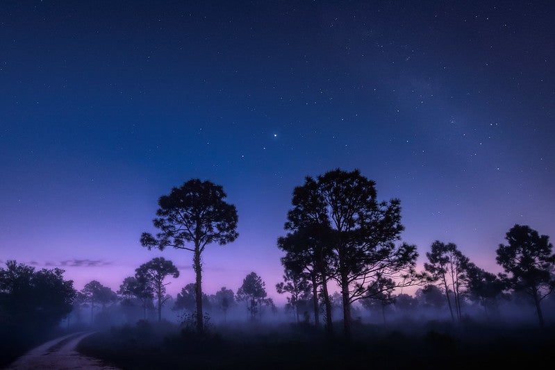 Planets in the morning sky