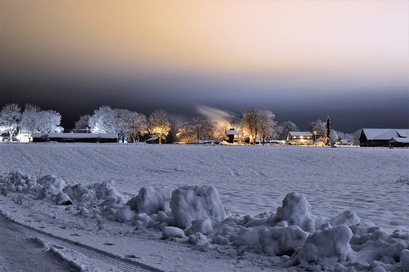 Wintry landscape