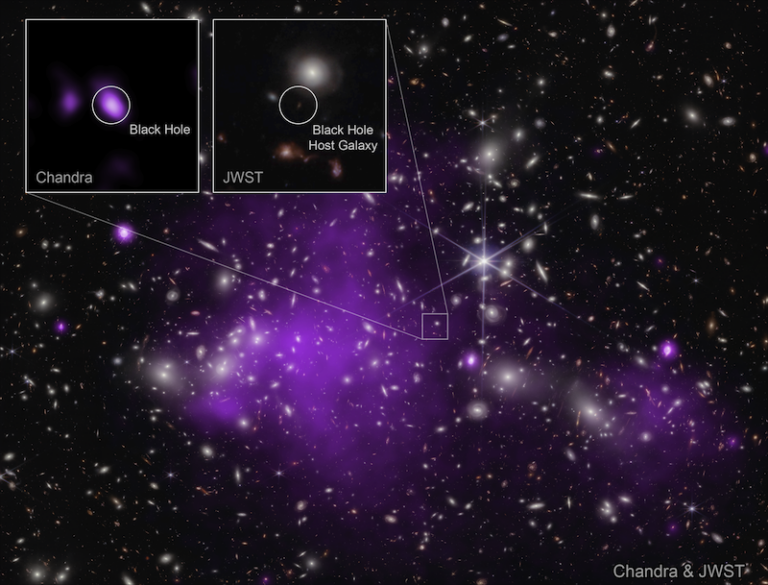 galaxy cluster Abell 2744 as seen by JWST and the Chandra X-ray Observatory