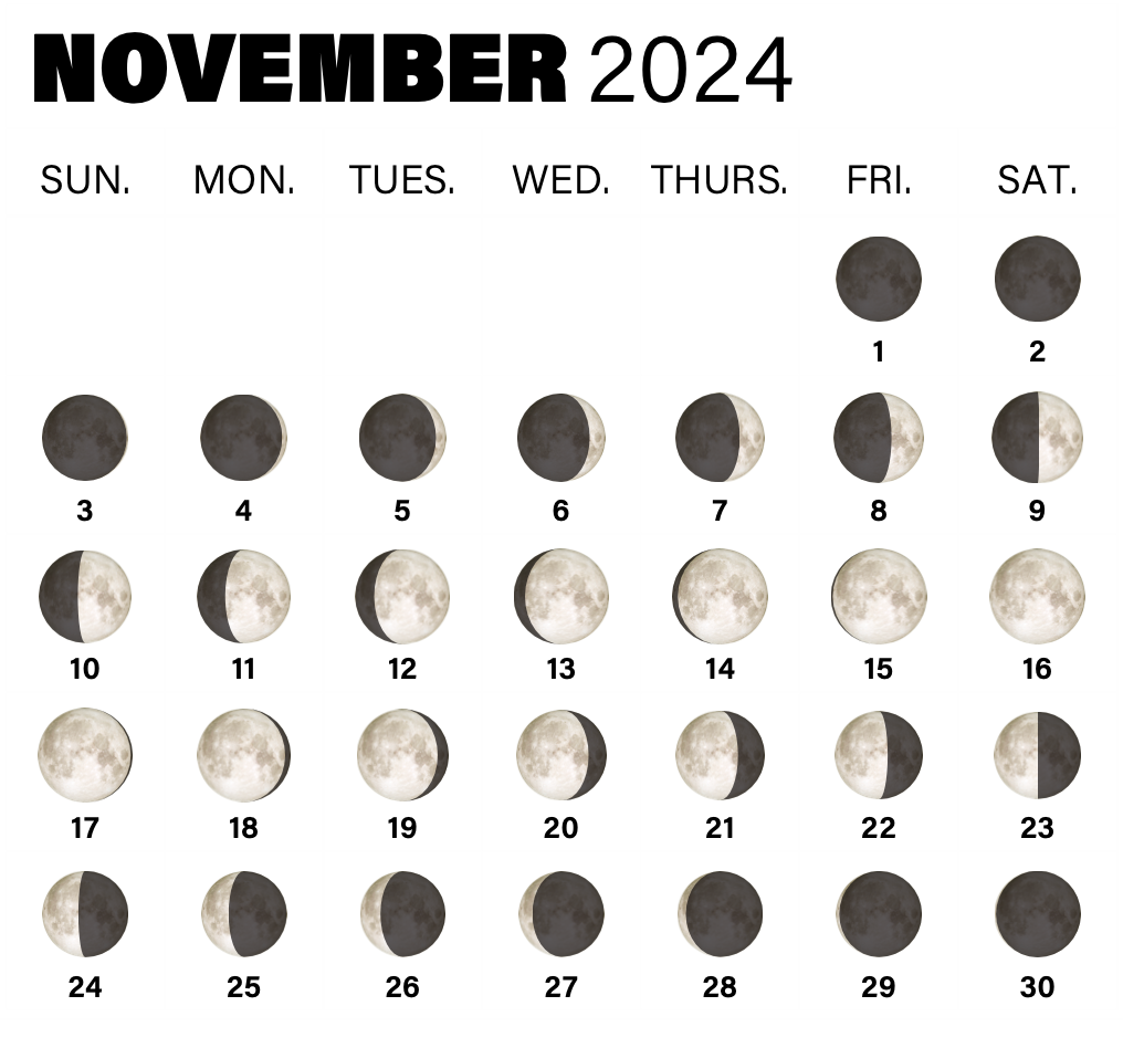 Moon Phases in November 2024